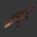 Realistic Crocodile 3D Model With Green And Brown Skin Open Mouth Crawling Posture