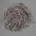 Dried Plant Branches And Fallen Leaves Pile Of Natural Garden Debris Collection