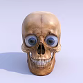 Modern Skull 3d model