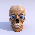 Modern Skull Skull 3d model