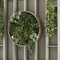Living Plant Wall Design With Circular Wooden Frame Various Green Plants And Hanging Foliage