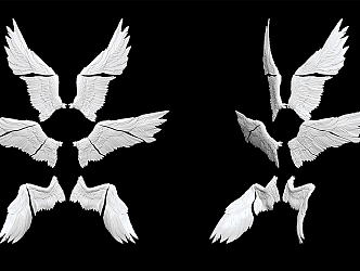 Modern Wings 3d model