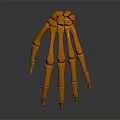 Orange Claw Skeletal Model Displaying Multiple Phalanges On Dark Background 3d model