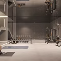 Modern Entertainment Room Interior Design With Staircase Dumbbell Rack Yoga Mat And Fitness Equipment