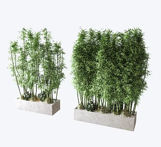 plant green plant wall bamboo landscape tree 3d model