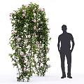 Decorative Garden Archway With Green Vines Pink Flowers And Person Silhouette