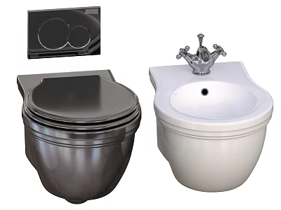 Modern Black And White Toilet Design With Flush Panel And Ceramic Finish 3d model
