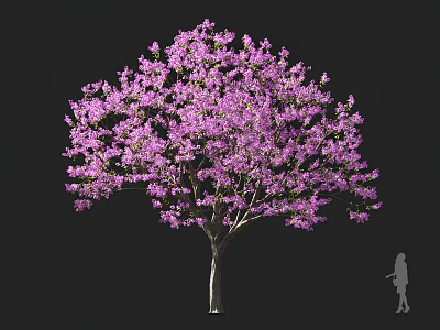 Vibrant Blooming Arbor Tree With Purple Flowers And Human Silhouette For Scale Reference 3d model