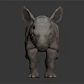 Detailed 3D Rhinoceros Model With Realistic Skin Texture And Digital Rendering