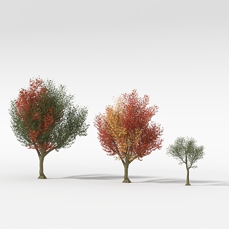 Tree combination 3d model