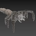 Spider Like Creature With Multiple Legs And Orange Gray Body On Black Background 3d model