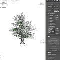 Snow Covered Tree Standing On Snowy Ground With Sunlight And Shadow