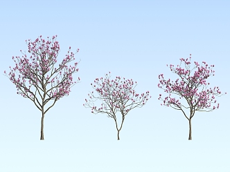 Modern tree two Qiao Yulan 3d model