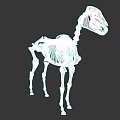 Detailed Horse Skeleton 3D Model Showing Anatomical Structure And Bones 3d model