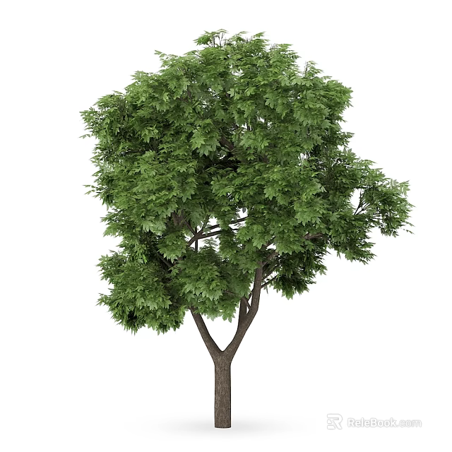 Lush Green Arbor Tree With Dense Foliage And Strong Trunk Structure 3d model 