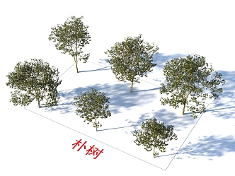 Hackberry Trees Plants 3d model