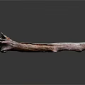 Natural Wood Branch with Red Brown Texture on Reflective Stone Surface 3d model
