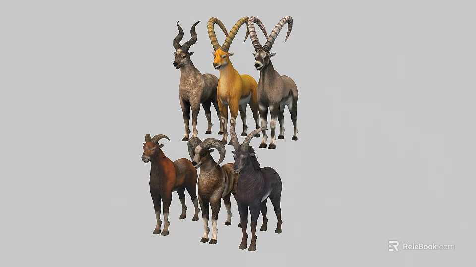 Group of Various Colored Goats With Different Horn Shapes Standing Together 3d model 