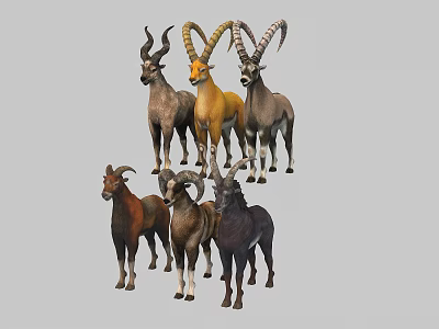 Group of Various Colored Goats With Different Horn Shapes Standing Together 3d model