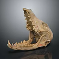 Detailed View Of Mammal Skull Skeleton With Open Jaw And Sharp Teeth Structure