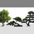 Various Arbor Types Displaying Different Shapes Green Leaves And Pruned Structures 3d model