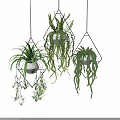 Decorative Hanging Plant Ornament Set With Geometric Metal Frames And White Pots