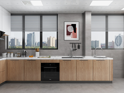 Modern Kitchen model