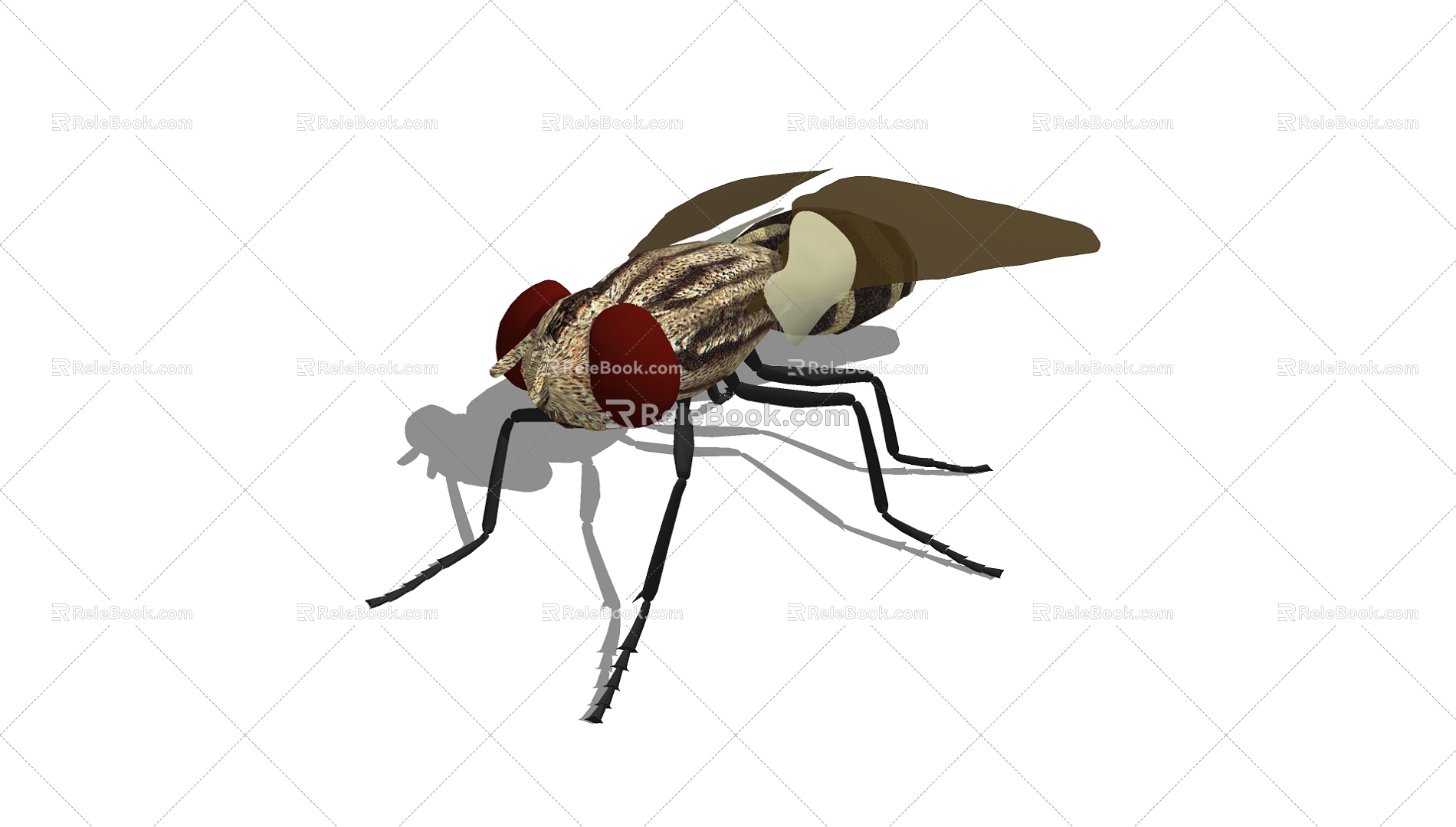 Flies 3d model