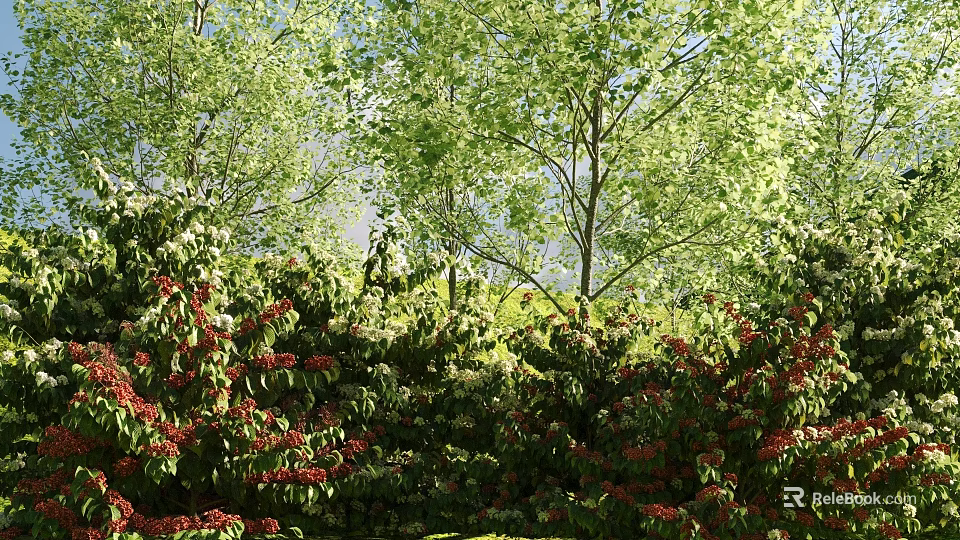 Lush Flowering Garden Shrubs With Red Blooms And Green Foliage In Sunlit Landscape 3d model 