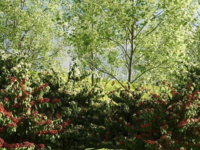 Lush Flowering Garden Shrubs With Red Blooms And Green Foliage In Sunlit Landscape 3d model