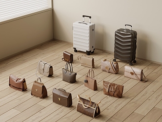 Bag Luggage Case Trolley Case Bag Satchel 3d model