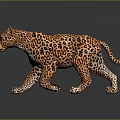 Realistic 3D Leopard Model With Orange Fur Black Spots And Green Eyes On Dark Background