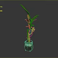 Small Bamboo Plant with Green Leaves in Owl Shaped Decorative Pot