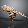Flying Animal Owl Skeleton with Spreading Wings Against Gray Gradient Background and Clear Reflection Below 3d model