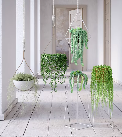 Hanging Basket Plants With Trailing Green Foliage In Indoor Corridor Decor 3d model
