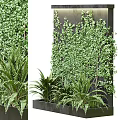 Lush Vertical Green Plant Wall With Diverse Foliage And Dark Wall Design