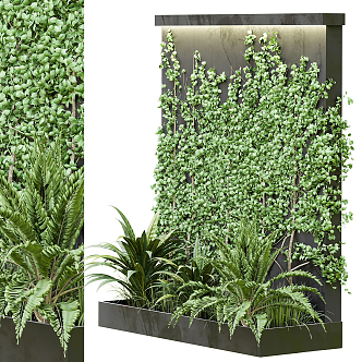 Modern Plant Wall 3d model