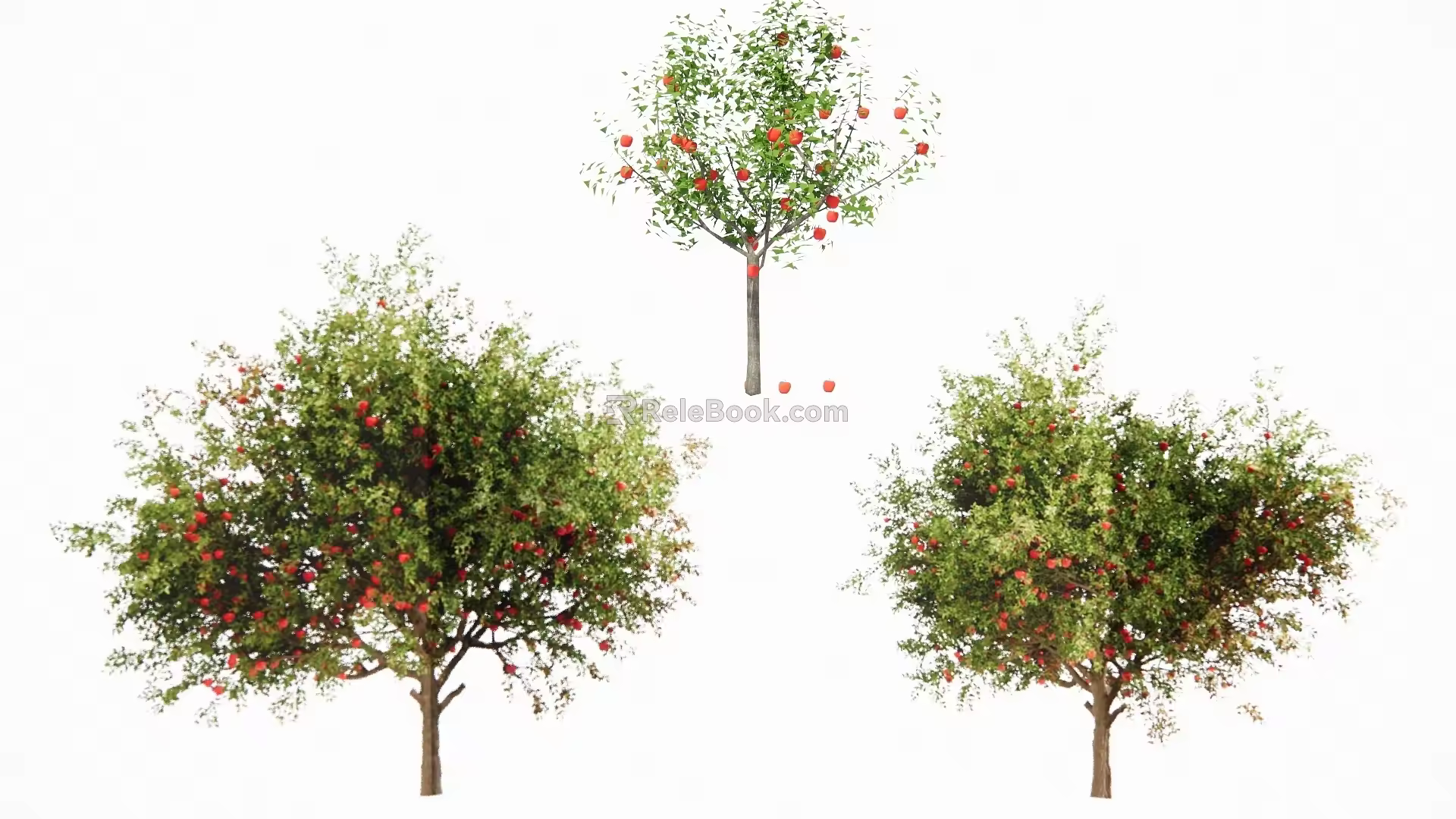apple tree 3d model