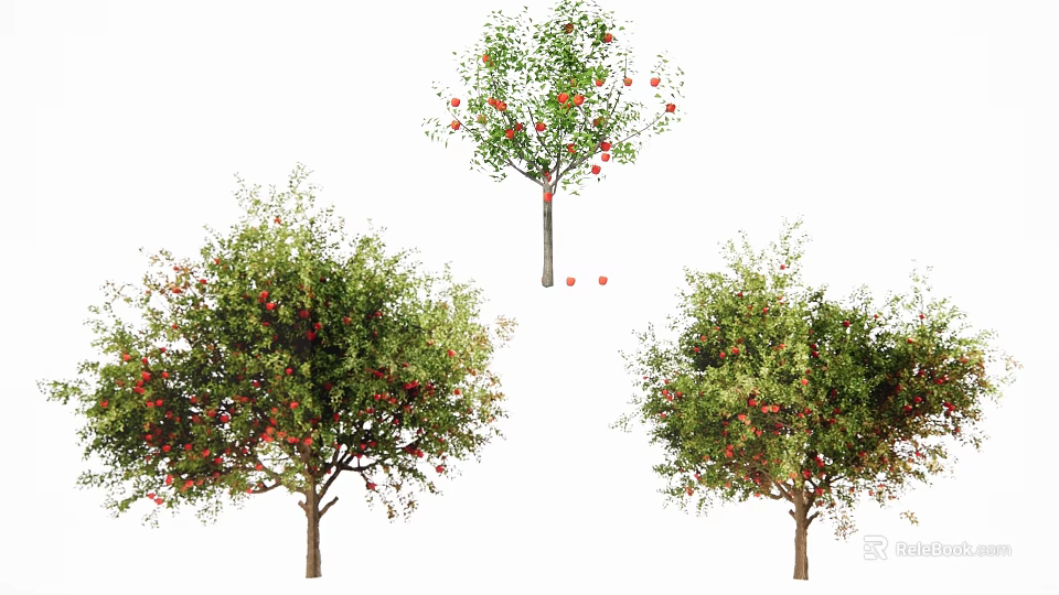 Mature Arbor Trees With Lush Green Leaves And Red Fruits Hanging 3d model 