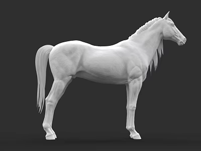 White Horse 3D Model Sculpture With Detailed Mane And Tail On Dark Background 3d model