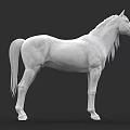 White Horse 3D Model Sculpture With Detailed Mane And Tail On Dark Background