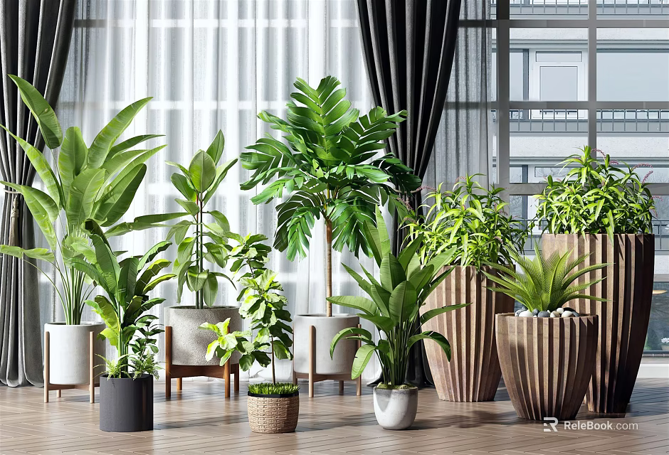 Various Indoor Potted Plants with Different Planters in Home Interior Design 3d model 