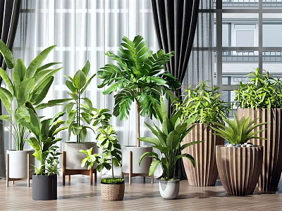 Various Indoor Potted Plants with Different Planters in Home Interior Design 3d model