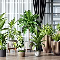Various Indoor Potted Plants with Different Planters in Home Interior Design