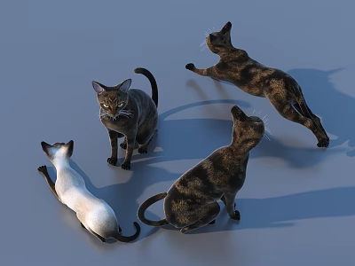 Four Cats in Various Poses Standing Lying and Jumping on Gray Surface 3d model