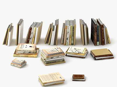 Varied Books and Magazines Collection With Stacks of Different Sizes And Colorful Covers 3d model