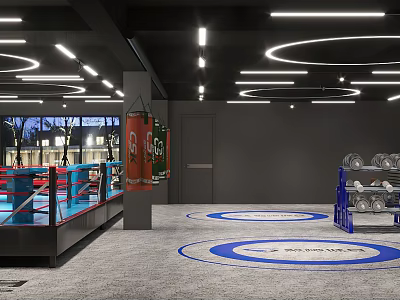 Modern Fitness Gym Interior With Boxing Ring Punching Bag Dumbbells Blue Circles And Lighting 3d model
