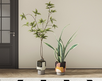 Green plant potted combination 3d model