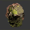 Green Moss Plant Growing On Weathered Wood With Natural Texture And Earthy Tones