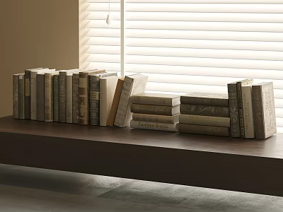 Neatly Arranged Various Books On Wooden Shelf By Window With Blinds 3d model